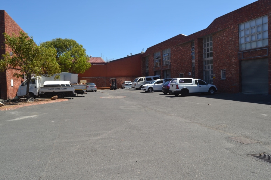 To Let commercial Property for Rent in Beaconvale Western Cape